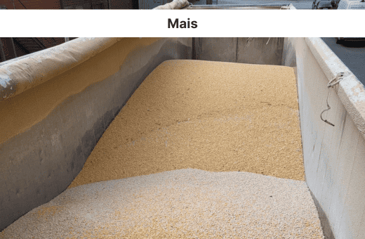 Impression-2.1 Kopie